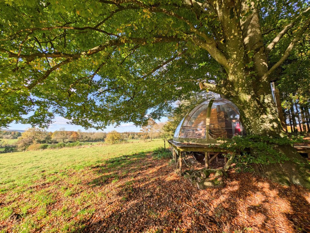 Wigwam à la lisière de la forêt