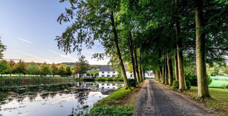 Allée menant à la maison de Landgoed Altenbroek près de Maastricht