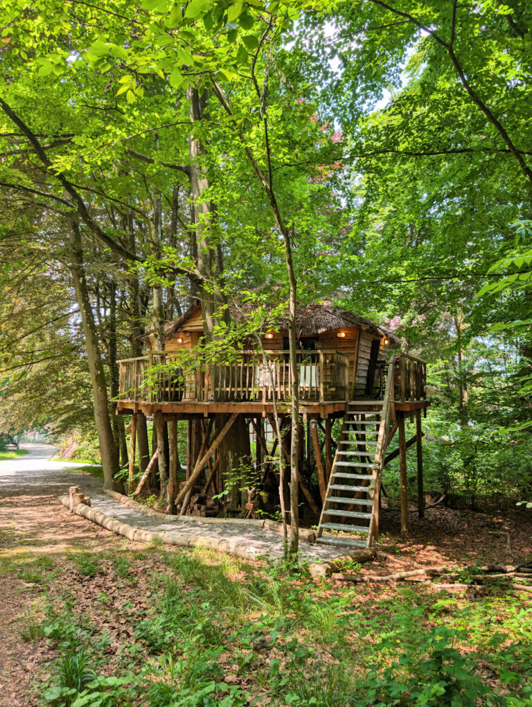 Cabane dans les arbres à la Cabane Du Bois Dormant à Spa