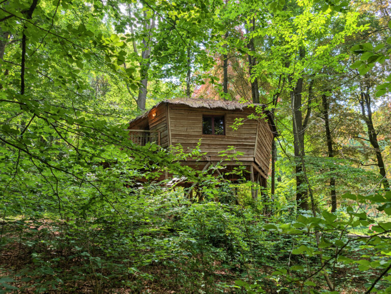Cabane au milieu des arbres à la Cabane Du Bois Dormant à Spa