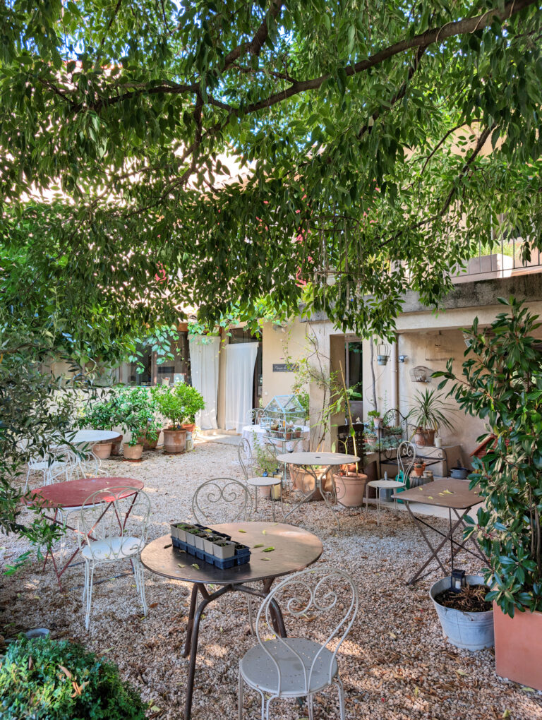 Jardin à l'ombre des arbres au B&B L'Oréliane près d'Avignon