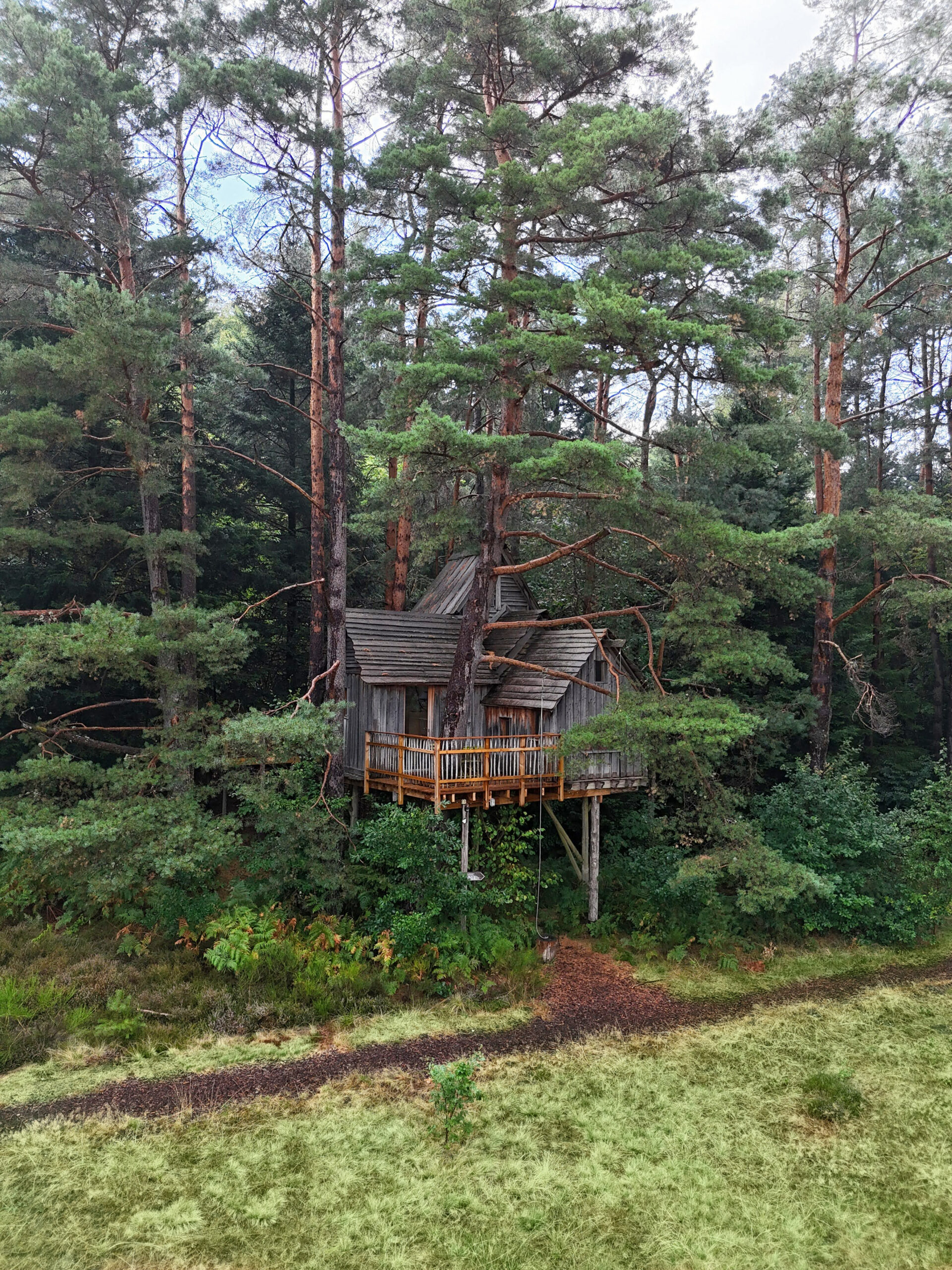 „Cabanes Nids des Vosges“: Warum es uns so gut gefallen hat (2026 ...