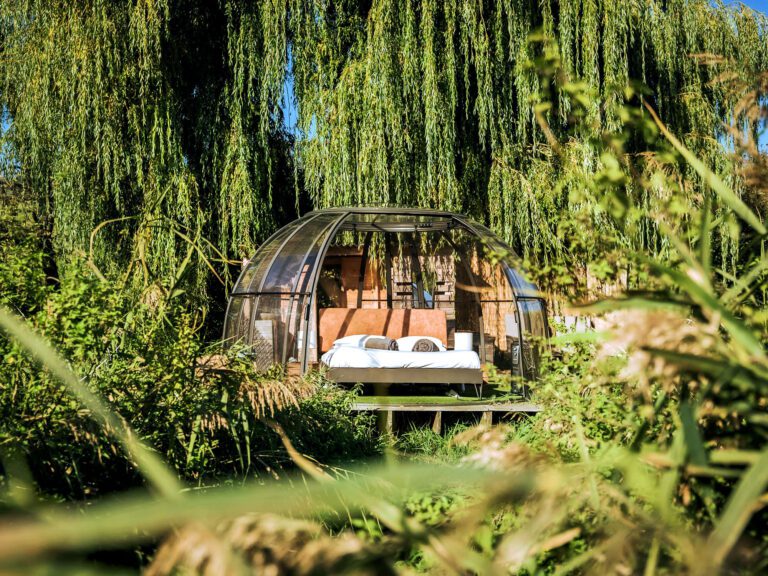 La Mésange aux Nids des Marais